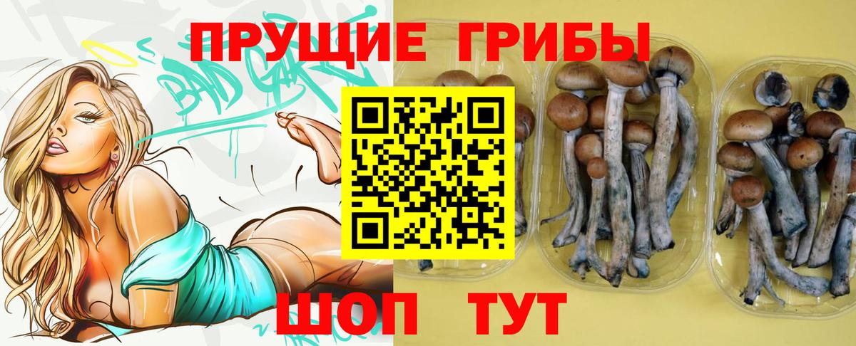 Пятигорск  Галлюциногенные грибы мухоморы  Вход с VPN 
