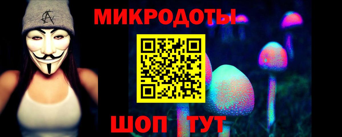 Псилоцибиновые грибы прущие грибы Пятигорск